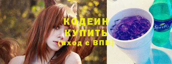 сатива Заводоуковск