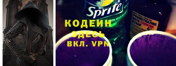 сатива Заводоуковск