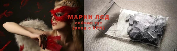 сатива Заводоуковск