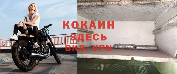 сатива Заводоуковск