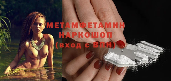 сатива Заводоуковск