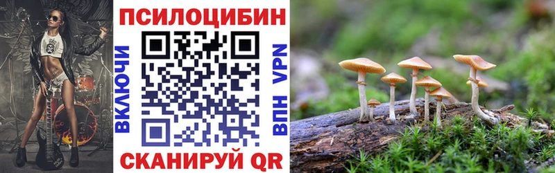 Псилоцибиновые грибы Psilocybine cubensis  Купить закладки  Первомайск 